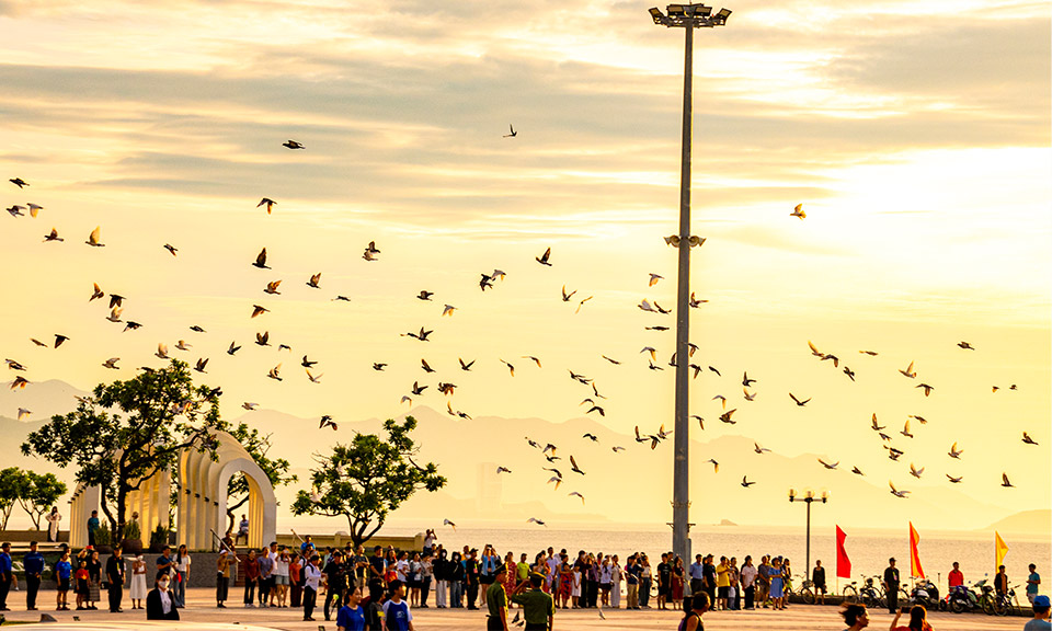 Nha Trang Đô Thị Vịnh Dạng Song Slider 16