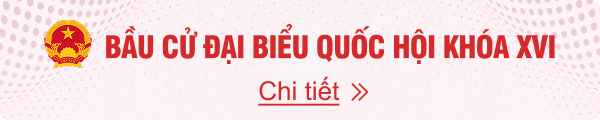 BẦU CỬ ĐẠI BIỂU QUỐC HỘI KHOÁ 16