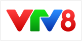 VTV8